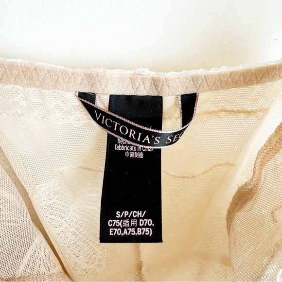 Victoria's Secret | Nude Mesh Lace Teddie Bodysuit - Picture 7 of 8